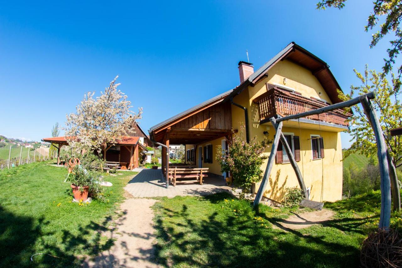 Villa Turisticna Kmetija Dreisiebner Spicnik Exterior foto